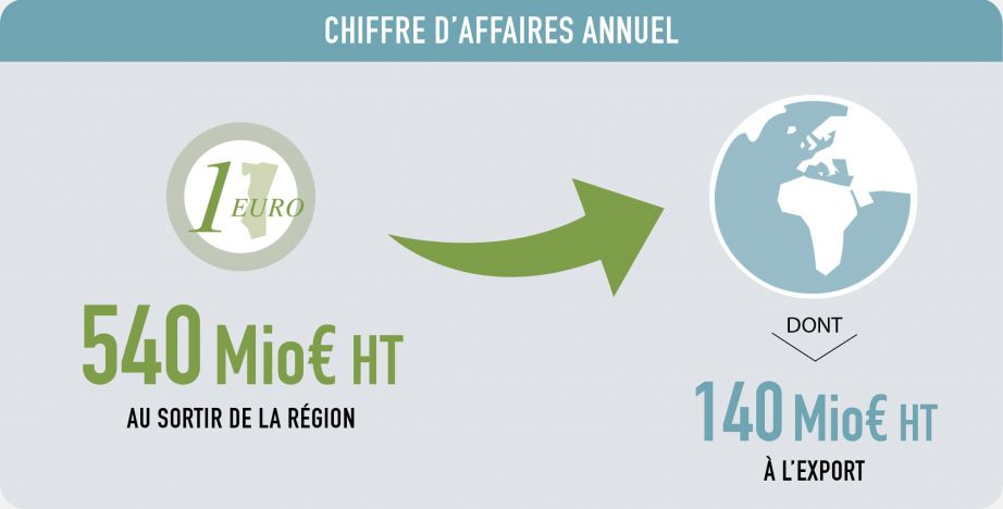 Chiffre d'affaire annuel