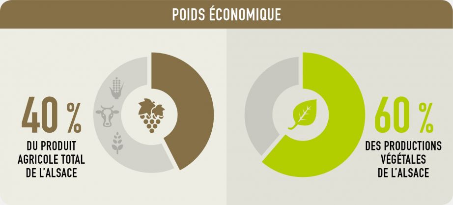 Poids économique